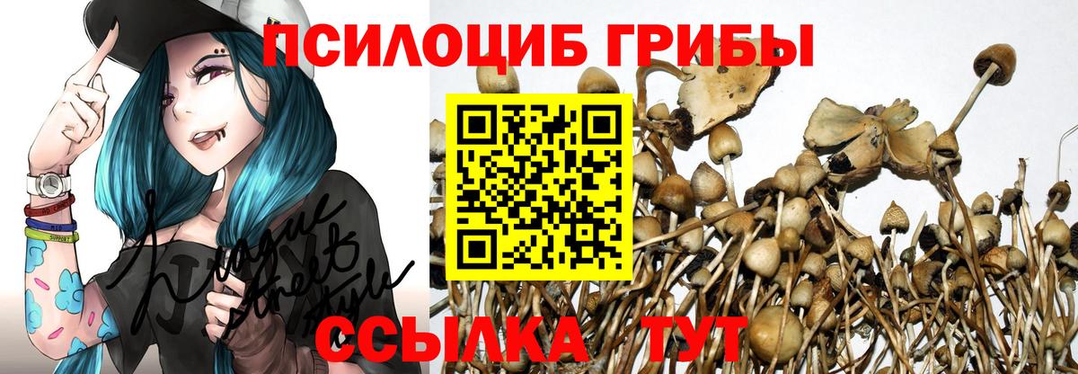 Псилоцибиновые грибы мицелий  Вход с VPN  Галлюциногенные грибы Magic Shrooms  Ковров 