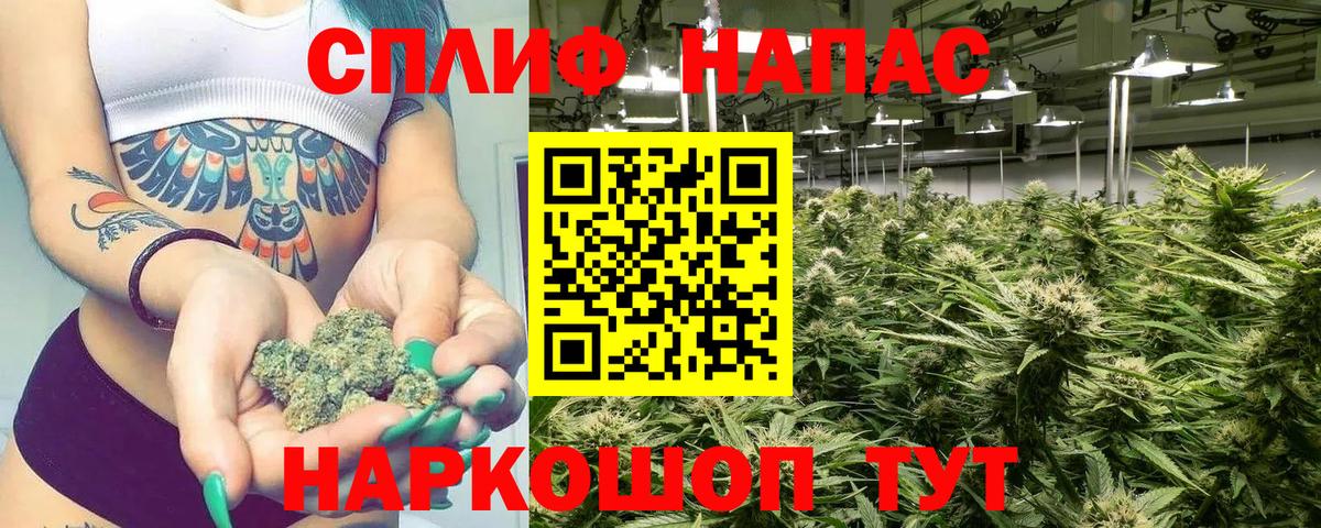 Бошки Шишки AK-47  МАРИХУАНА марихуана  Ковров  Вход с VPN  Каннабис сатива 